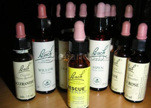 originele-bach-remedies